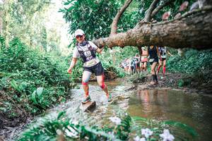 BIB: 
                            <button type="button" onclick="openModal(25516131)" class="btn btn-primary btn-sm float-right btn-popup" data-toggle="modal" data-target=".modal-high-quality">
                        <i class="fas fa-shopping-cart"></i> Add to Cart
                    </button>
                                            <button type="button" onclick="isThisMe(25516131, true)" class="btn btn-success btn-sm float-right btn-popup btn-isme hidden" data-toggle="tooltip" data-placement="bottom" title="นี่คือรูปของคุณใช่ไหม คลิกที่นี่เพื่อเอาเข้าอัลบั้ม">
                        <i class="fas fa-plus"></i> Add to album
                    </button>
                    <button type="button" onclick="isThisMe(25516131, false)" class="btn btn-warning btn-sm float-right btn-popup btn-isnotme hidden">
                        <i class="fas fa-ban"></i> Remove from album
                    </button>